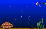 Don't feed the fish!!!